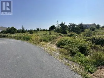12-32 Blueberry Road, Bryants Cove, Newfoundland & Labrador None