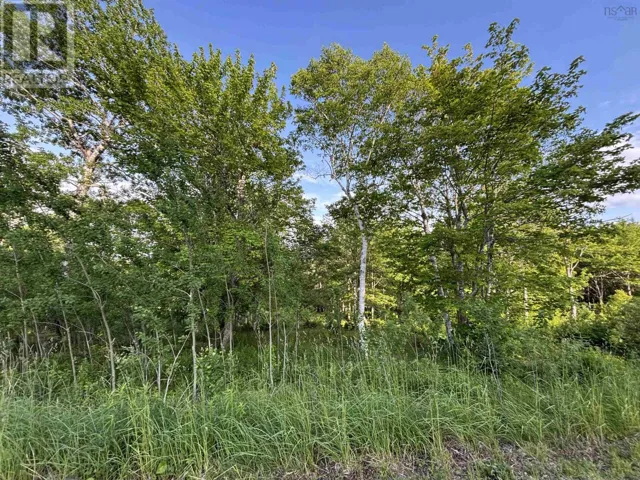 29 Parkland Place, Dalem Lake, Nova Scotia B1Y2X9