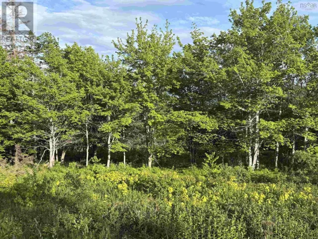 31 Parkland Place, Dalem Lake, Nova Scotia B1Y2X9