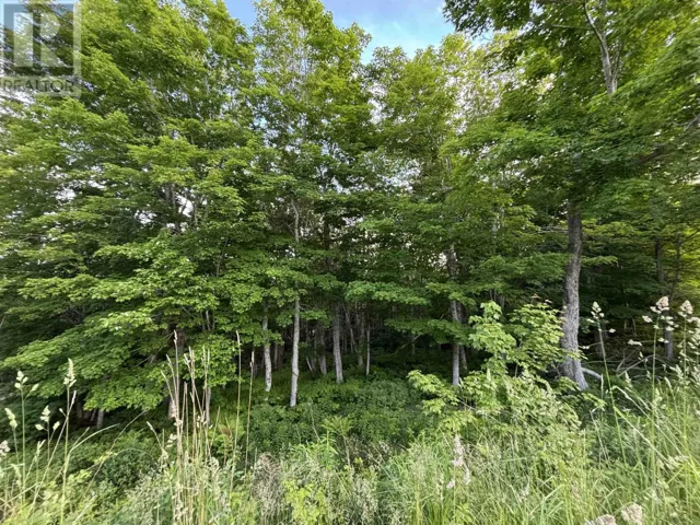 24 Parkland Place, Dalem Lake, Nova Scotia B1Y2X9