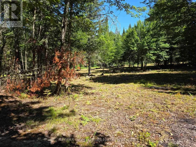00 WHITNEY ROAD, Perry, Ontario P0A1R0