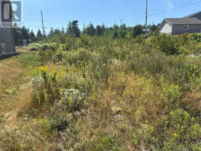 4 Captains Place, Bay Roberts, Newfoundland & Labrador A0A1G0