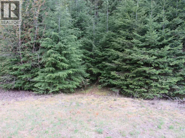 Lot B 3 Highway, Salmo, British Columbia V0G1Z0