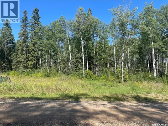 2 Phillips CRESCENT, Big River Rm No. 555, Saskatchewan S0J0E0