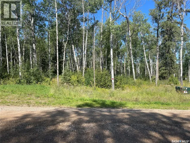 3 Phillips CRESCENT, Big River Rm No. 555, Saskatchewan S0J0E0