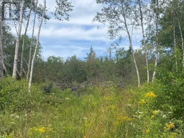 18 Adalynn Lane, Wyses Corner, Nova Scotia B0N1Y0
