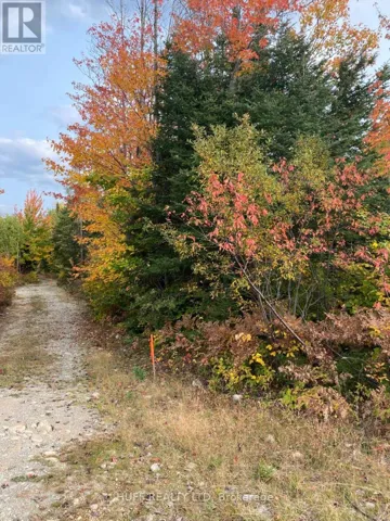 L1C1 54R-6371 CATHARINE ROAD, Englehart (Central Timiskaming), Ontario P0J1H0