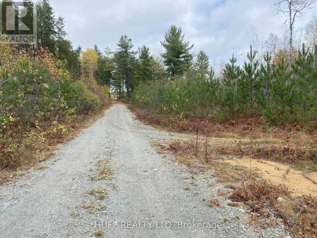 LOT 1 CON 5 MARTER 54R-6396 ROAD, Englehart (Central Timiskaming), Ontario P0J1H0