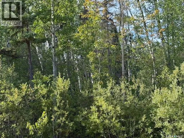 2008 Laronge AVENUE, La Ronge, Saskatchewan S0J1L0