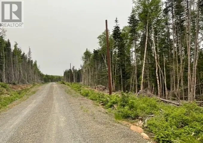14 Paradise Road, Miller Town, Newfoundland & Labrador A0A1V0