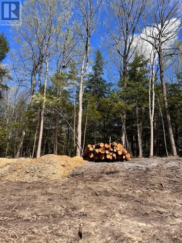 0 LOT SYER LINE, Cavan Monaghan (Cavan-Monaghan), Ontario L0A1A0