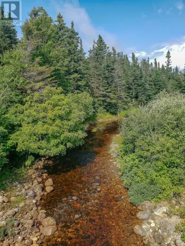 150a Steel Mountain Road, Barachois Brook, Newfoundland & Labrador A0N1B0