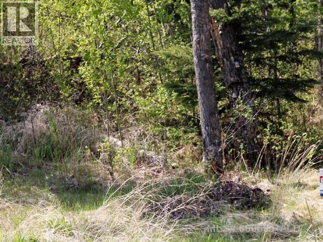 Lot 2 Blk 5 LAKESIDE Drive, Perch Lake, Saskatchewan S0M2G0