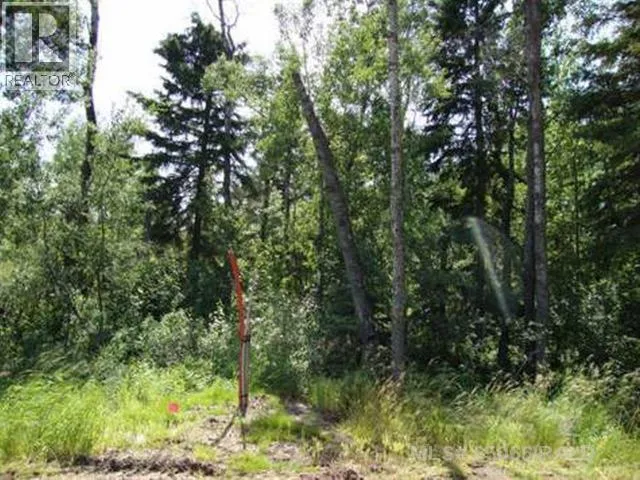Lot 1 Blk 5 LAKESIDE Drive, Perch Lake, Saskatchewan S0M2G0