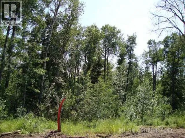Lot 3 Blk 5 LAKESIDE Drive, Perch Lake, Saskatchewan S0M2G0