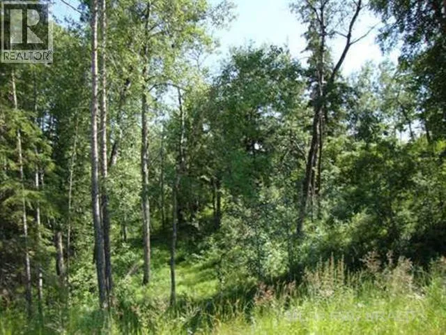 Lot 4 Blk 5 LAKESIDE Drive, Perch Lake, Saskatchewan S0M2G0