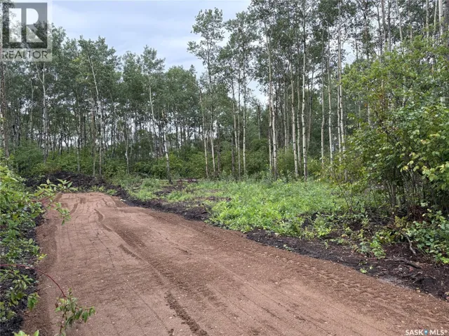 302 Black BAY, Barrier Valley Rm No. 397, Saskatchewan S0E0B0