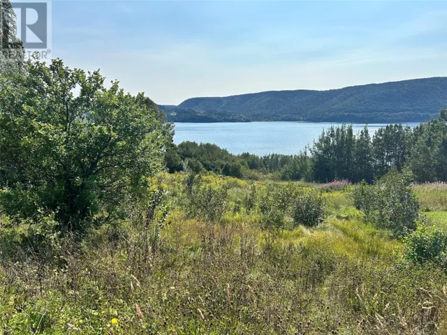 163 North Shore Highway, Meadows, Newfoundland & Labrador A2H6B9