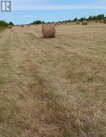 Acreage Cape Bear Road, White Sands, Prince Edward Island C0A1W0