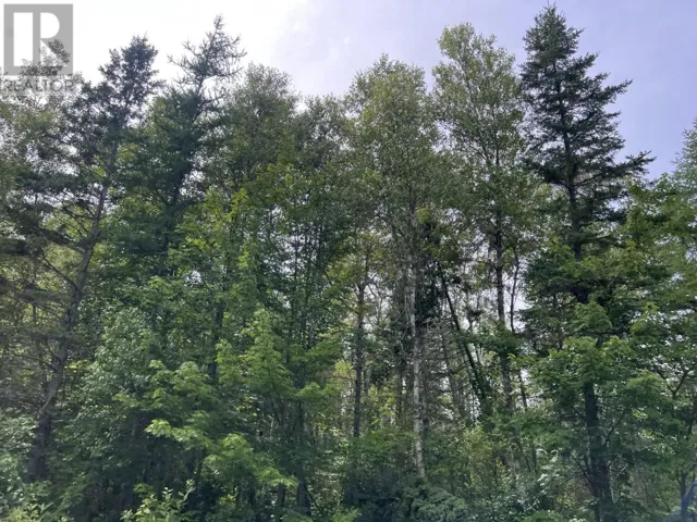 Rte 12 Tyne Valley, Tyne Valley, Prince Edward Island C0B2C0