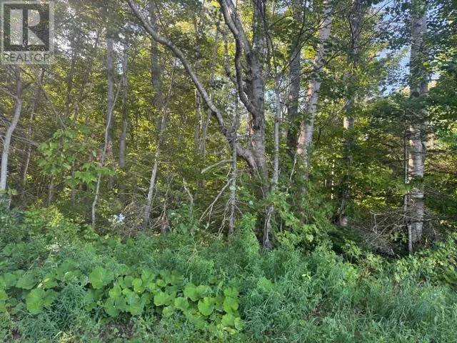 2832 RTE 14, Glenwood, Prince Edward Island C0B1V0