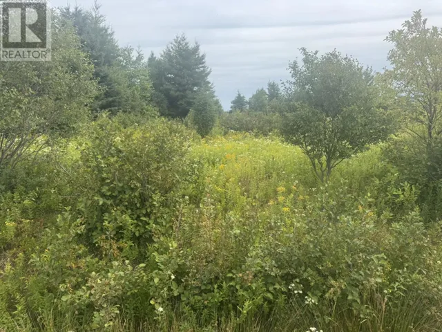 735 Clements Road, White Sands, Prince Edward Island C0A1W0