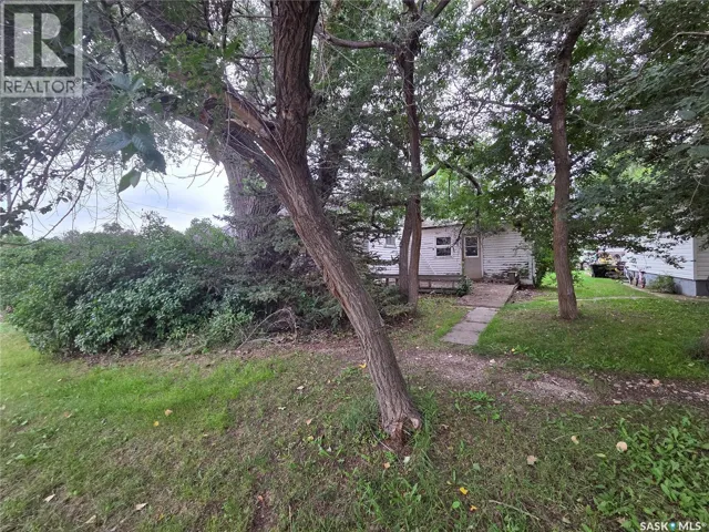 227 Main STREET, Hazenmore, Saskatchewan S0N1C0