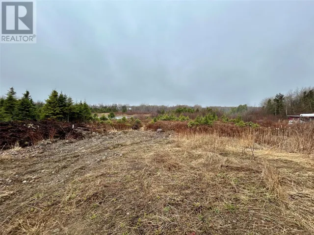 10 Kingston Road, Grand Falls-Windsor, Newfoundland & Labrador A2B1E3