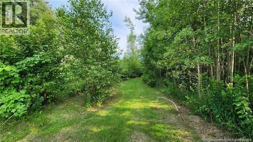 7.6 acres Rue Pinet, Bertrand, New Brunswick E1X1L3