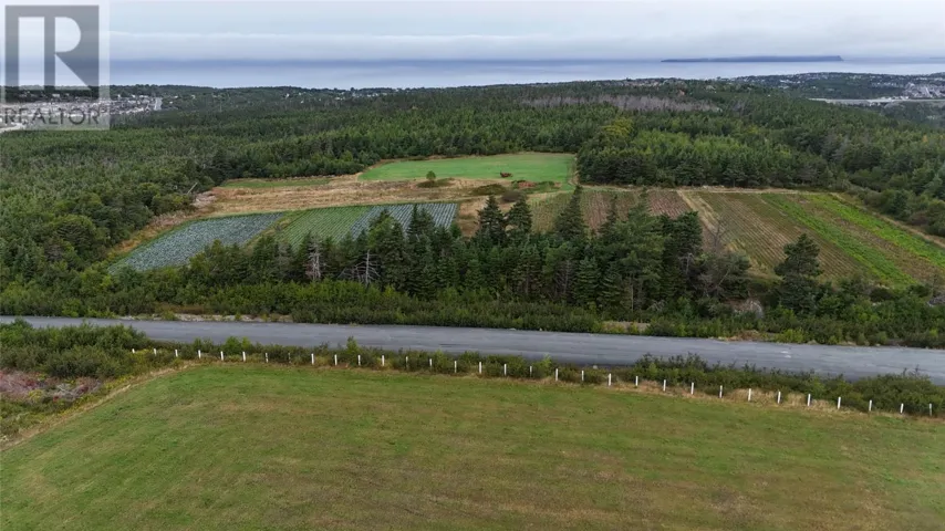 0 Andrews Road, Conception Bay South, Newfoundland & Labrador A1X4A1