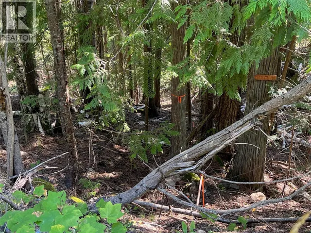 Lot 43 Vickers Trail Lot# 43, Anglemont, British Columbia V0E1M8