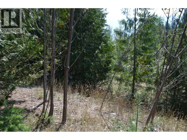 Fraser Road Lot# 59, Anglemont, British Columbia V0E1M8