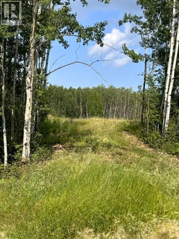 123, Lac La Biche, Alberta T0A2C2