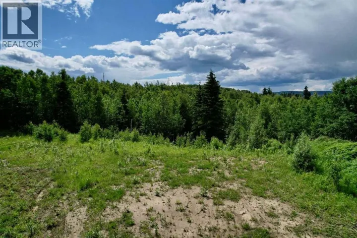 19 Mountain Springs, Rural Woodlands County, Alberta T7S1N3