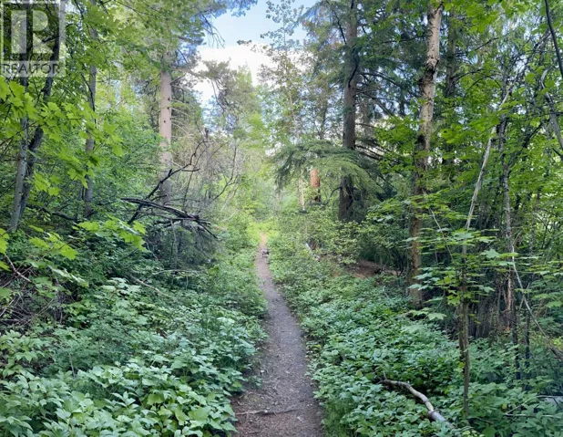 3B Highway Lot# 3, Rossland, British Columbia V0G1Y0