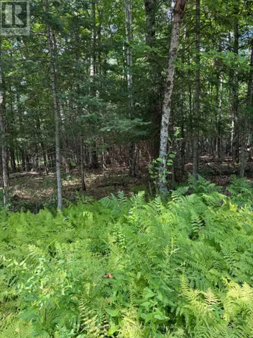 LT 26 FRANK ST STREET, Magnetawan, Ontario P0A1Z0
