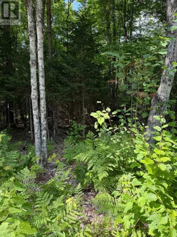 780