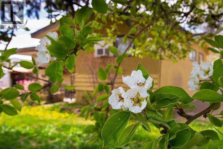 3606 Old Okanagan Highway, West Kelowna, British Columbia V4T1P4