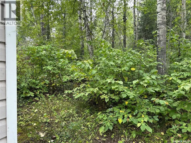 6040 Spruce WAY, Bjorkdale Rm No. 426, Saskatchewan S0E0E0