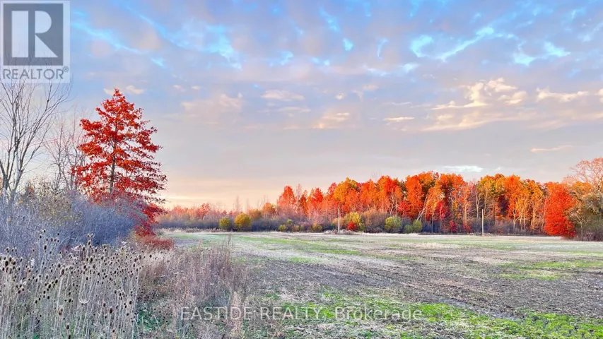 12880 ORT ROAD, Niagara Falls (Lyons Creek), Ontario L0S1K0