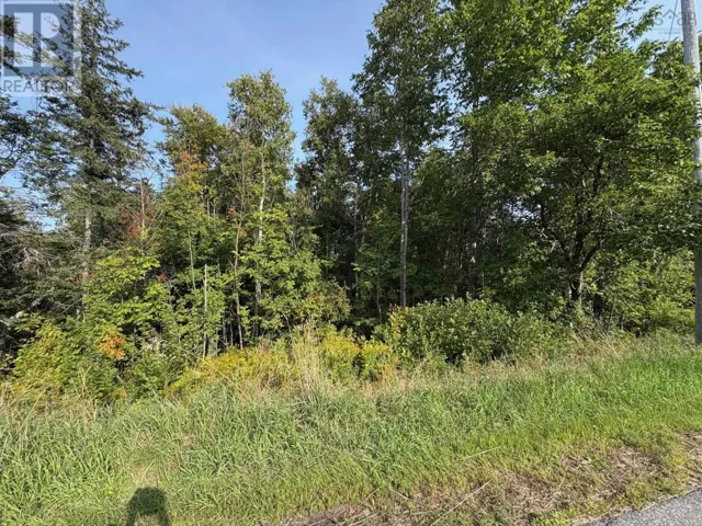 Thorburn Road, Thorburn, Nova Scotia B0K1W0