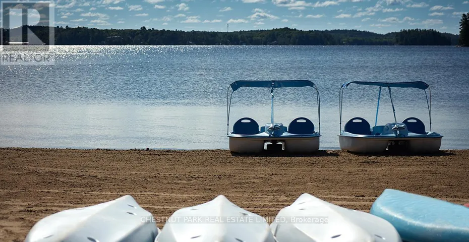 4 - 1869 MUSKOKA DISTRICT ROAD 118 WEST, Muskoka Lakes (Monck (Muskoka Lakes)), Ontario P1L1W8