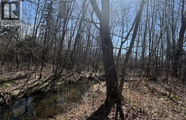 LOT Dr Hamilton Drive, Doaktown, New Brunswick E9C1A9