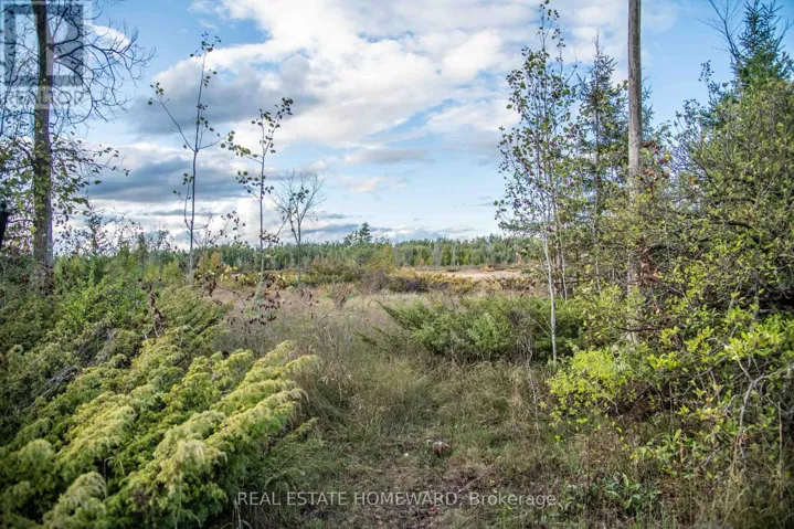 254-256 MCGUIRE BEACH ROAD, Kawartha Lakes (Carden), Ontario K0M2B0