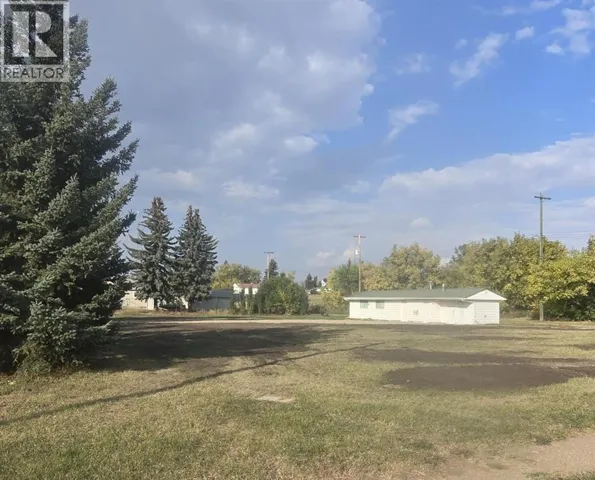 4910 48 Street, Sedgewick, Alberta T0B4C0