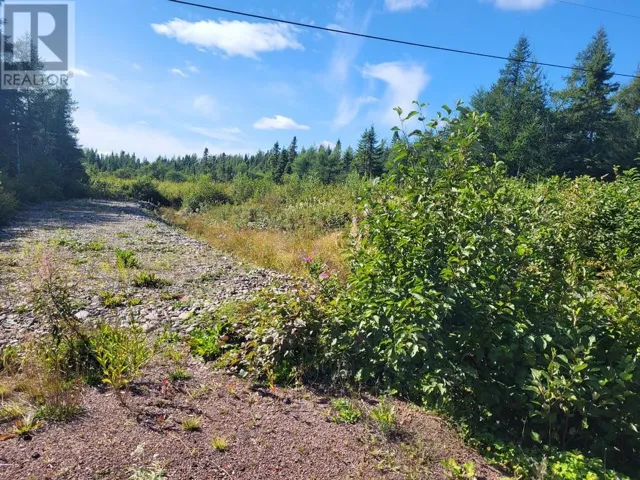 45 Main Street, Northern Arm, Newfoundland & Labrador A0H1E0