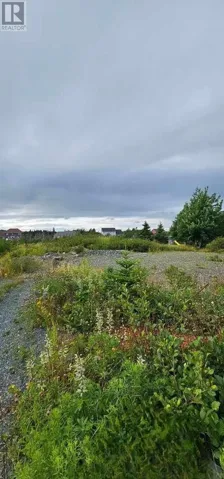 22 Pulpit Rock Road, Torbay, Newfoundland & Labrador A1K1A2