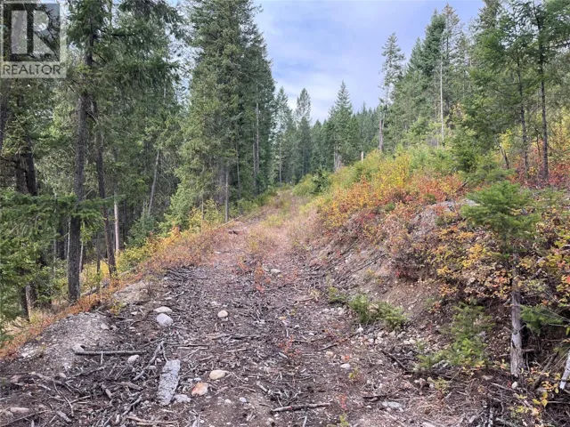 842 Almberg Road Unit# Remainder Lot# Lot, Golden, British Columbia V0A1H0