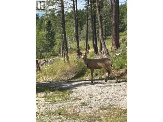 Csokony Road, Spur Valley, British Columbia V0A1E0