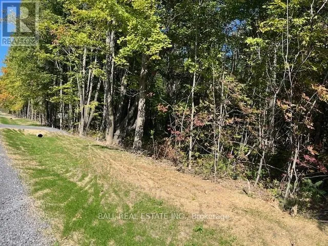 PT 33A & PT 33B AUTUMN ROAD N, Trent Hills (Warkworth), Ontario K0K3K0